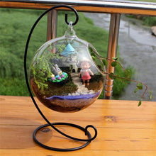 Load image into Gallery viewer, Creative Clear Glass Ball Vase  Landscape Air Plant