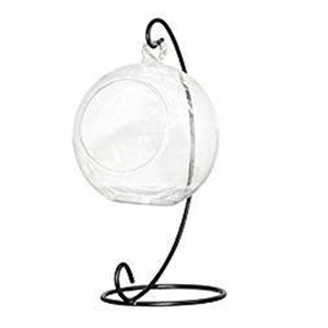 Creative Clear Glass Ball Vase  Landscape Air Plant