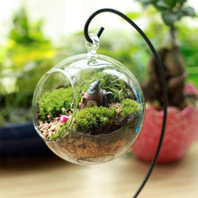 Load image into Gallery viewer, Creative Clear Glass Ball Vase  Landscape Air Plant